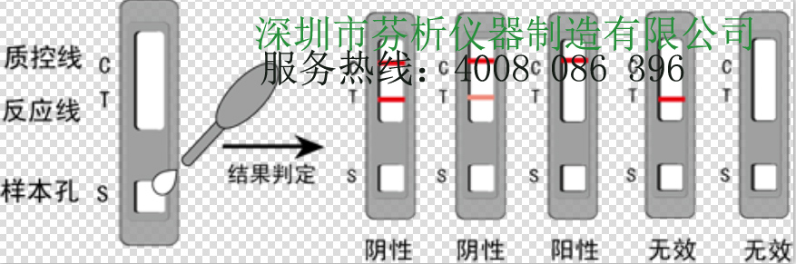 金標(biāo)檢測卡